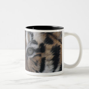 Caneca De Café Em Dois Tons Tigre Siberian que boceja