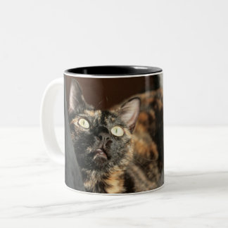 Caneca De Café Em Dois Tons Tortitude mug - tortoiseshell cat