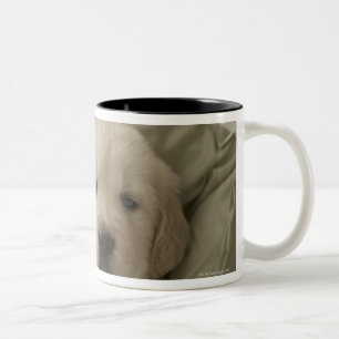 Caneca De Café Em Dois Tons Travesseiro em torno do cão