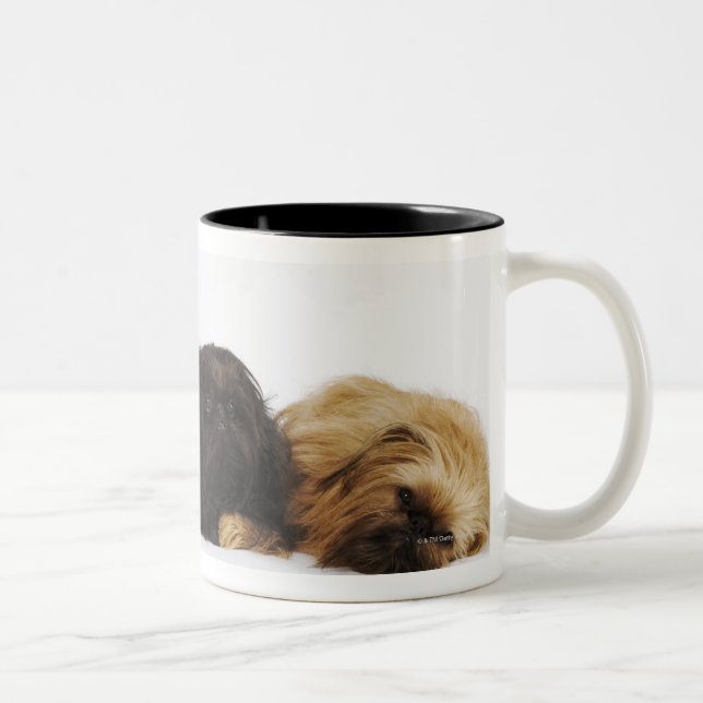 Caneca De Café Em Dois Tons Três cães de Pekingese e único Pug que (Direita)