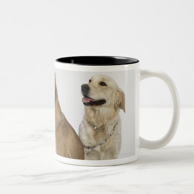 Caneca De Café Em Dois Tons três cães que olham toda à direita (Direita)