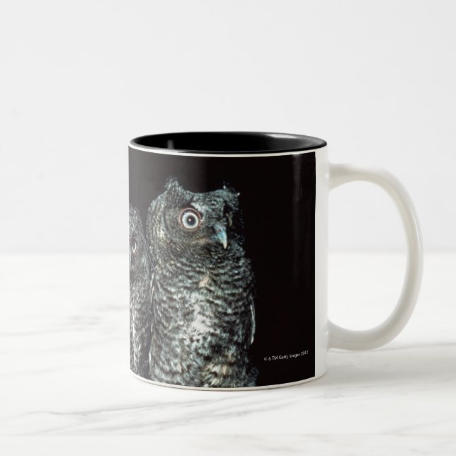 Caneca De Café Em Dois Tons três corujas (Direita)