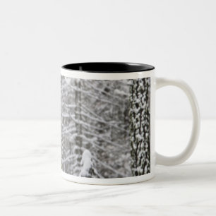 Caneca De Café Em Dois Tons troncos de árvores cobertos de neve no vale de Yos