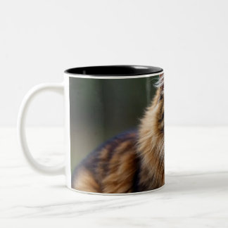 Caneca De Café Em Dois Tons Tu Felin,Amantes de los Gatos