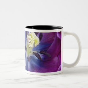 Caneca De Café Em Dois Tons Tulipa close-up, Jardins Keukenhof, Lisse, 2