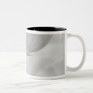 Caneca De Café Em Dois Tons Tulipas em Keukenhof Gardens, Holanda.