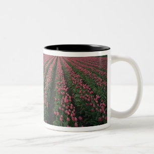 Caneca De Café Em Dois Tons Tulipas rosa brilhante e vermelho brilham sob o es