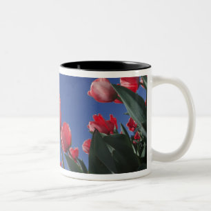 Caneca De Café Em Dois Tons Tulipas vermelhas de ângulo muito baixo, Cincinna