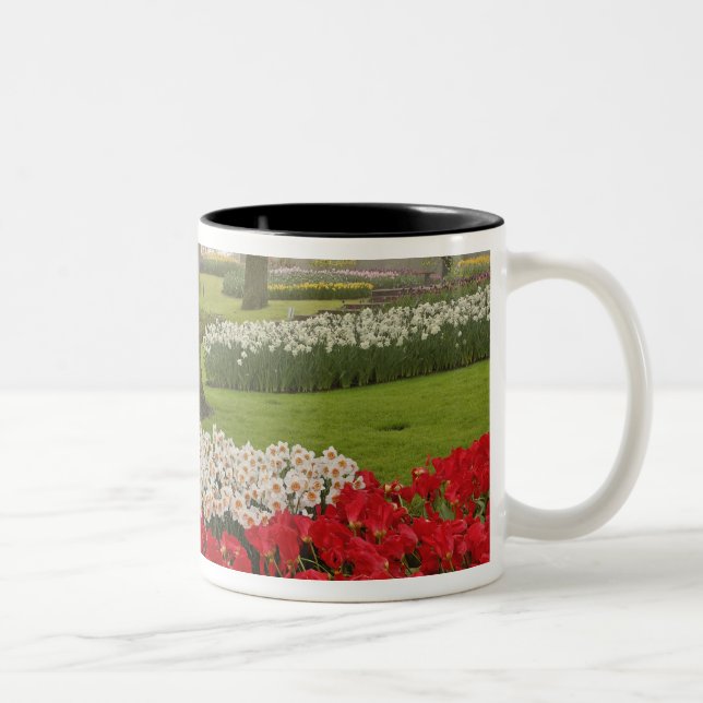 Caneca De Café Em Dois Tons Tulips e daffodils, Keukenhof Gardens, (Direita)