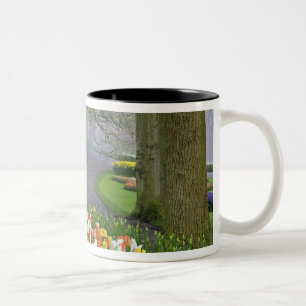 Caneca De Café Em Dois Tons Tulips e estrada, Keukenhof Gardens, Lisse,