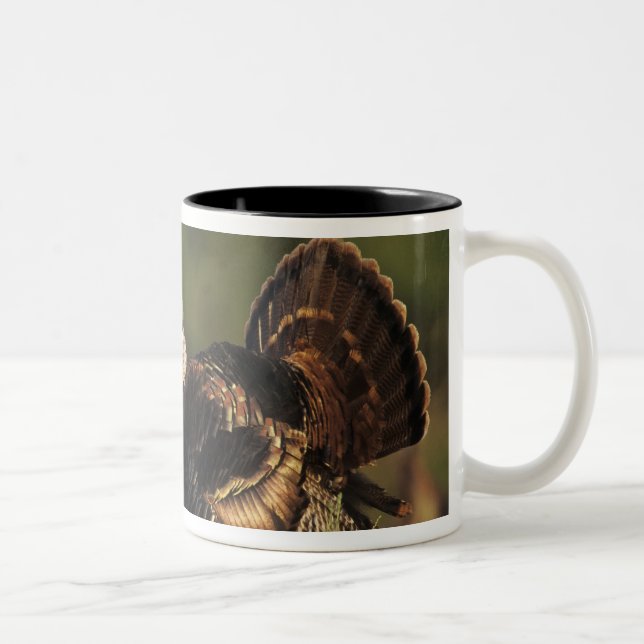 Caneca De Café Em Dois Tons Turquia selvagem, Meleagris gallopavo, machos (Direita)