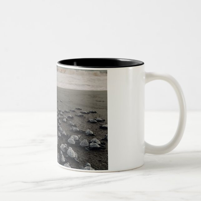 Caneca De Café Em Dois Tons Turtles Café Mug (Direita)