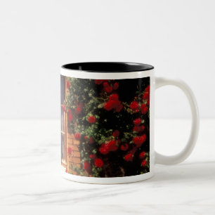 Caneca De Café Em Dois Tons UE, França, Provença, Vaucluse, Casa em Apt