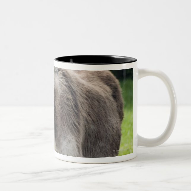 Caneca De Café Em Dois Tons Um asno (Direita)