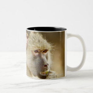 Caneca De Café Em Dois Tons Um babuíno amarelo infantil (Papio
