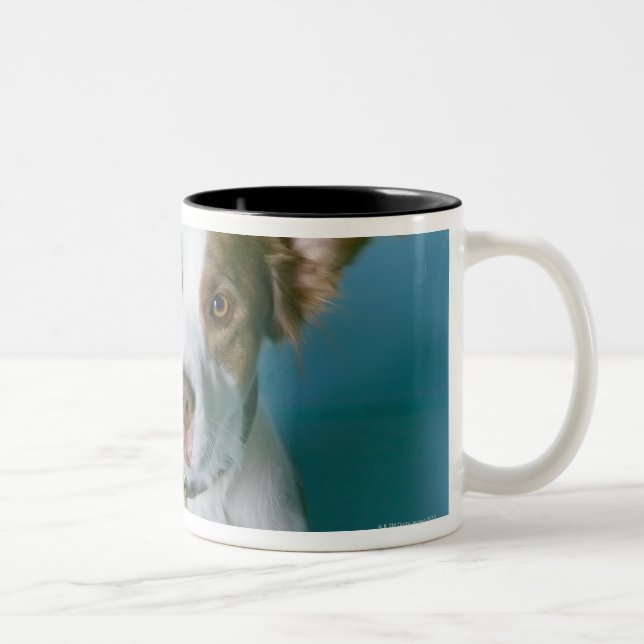 Caneca De Café Em Dois Tons Um cão (Direita)