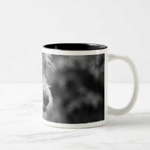 Caneca De Café Em Dois Tons Um cão fora