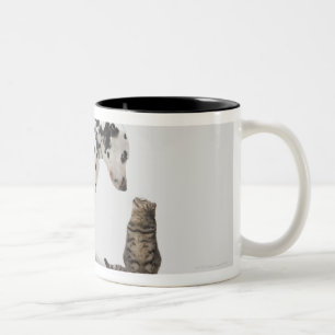 Caneca De Café Em Dois Tons Um cão que olha um gato