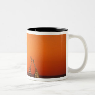 Caneca De Café Em Dois Tons Um casal de girafas caminha em direção ao pôr do s