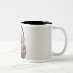 Caneca De Café Em Dois Tons Um coelho está em uma cesta. Anão de Netherland