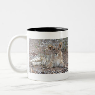 Caneca De Café Em Dois Tons Um Cubo De Leão Com Uma Bela Gaze Inocente.