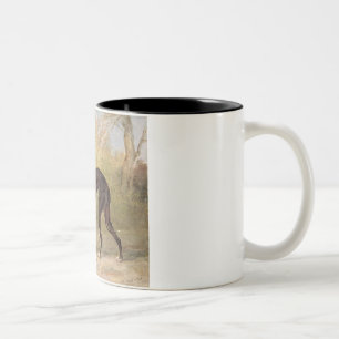 Caneca De Café Em Dois Tons Um dos galgos de vencimento do Fox da pista de