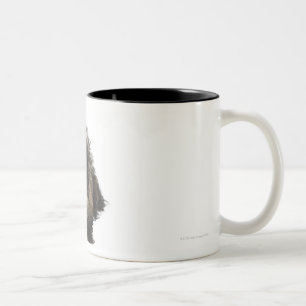 Caneca De Café Em Dois Tons Um filhote de cachorro de Yorkie-poo em um tutu em
