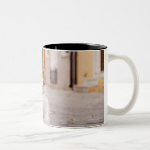 Caneca De Café Em Dois Tons Um gato nas ruas de Burano, Italia.  2006.