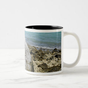 Caneca De Café Em Dois Tons Um memorial aos prisioneiros de guerra na Ilha