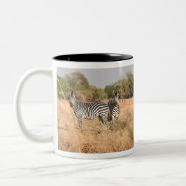 Caneca De Café Em Dois Tons Um Par De Zebras À Atenção Na Baixa Zambezi
