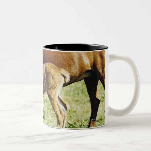 Caneca De Café Em Dois Tons Um potro e um cavalo em um pasto (Direita)