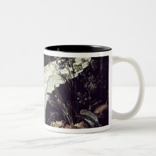 Caneca De Café Em Dois Tons Um Spaniel de água