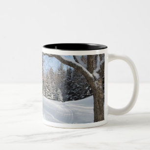 Caneca De Café Em Dois Tons Uma cena nevada no Little Lyford Pond da AMC