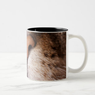 Caneca De Café Em Dois Tons Uma imagem macro do nariz e da boca de um gato