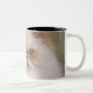 Caneca De Café Em Dois Tons Uma louca, virada, ponto de reclinação da chama
