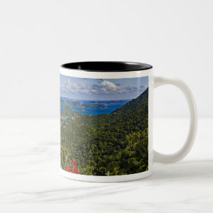 Caneca De Café Em Dois Tons Uma vista panorâmica da Baía de Cruse, St. John Il