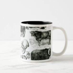 Caneca De Café Em Dois Tons Ungulata ou animais Hoofed