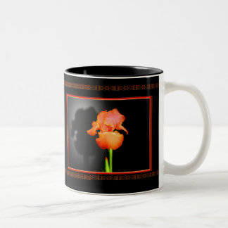 Caneca De Café Em Dois Tons Única íris