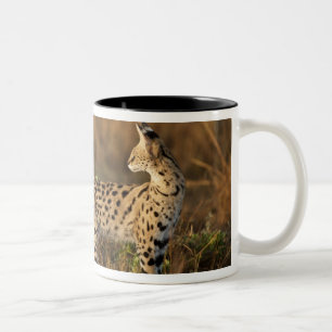 Caneca De Café Em Dois Tons Upper Mara, Reserva de Caça Masai Mara, Quênia,