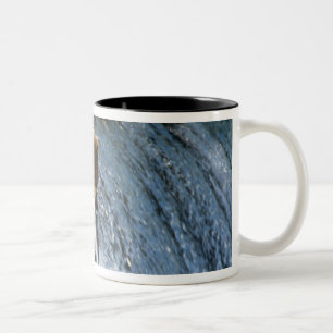 Caneca De Café Em Dois Tons Urso Pardo do Alasca Capturando Salmão em Brooks
