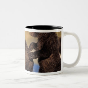 Caneca De Café Em Dois Tons urso pardo, Ursus arctos, urso cinzento, Ursus