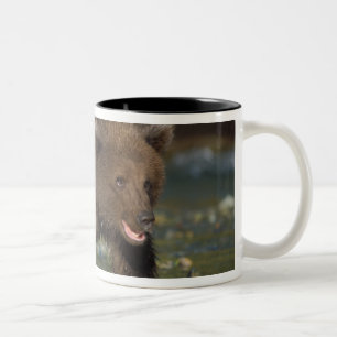 Caneca De Café Em Dois Tons urso pardo, Ursus arctos, urso cinzento, Ursus 6