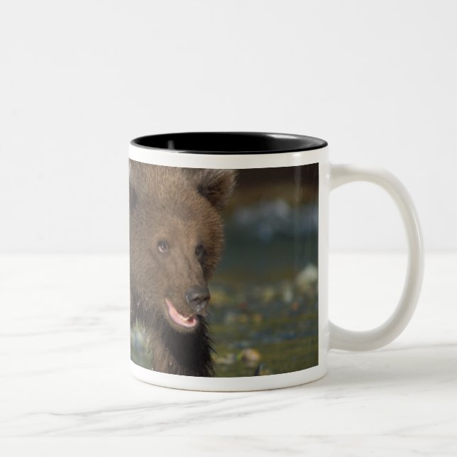Caneca De Café Em Dois Tons urso pardo, Ursus arctos, urso cinzento, Ursus 6 (Direita)