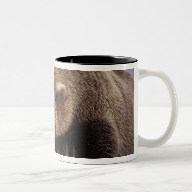 Caneca De Café Em Dois Tons urso pardo, Ursus arctos, urso cinzento, Ursus 8 (Direita)