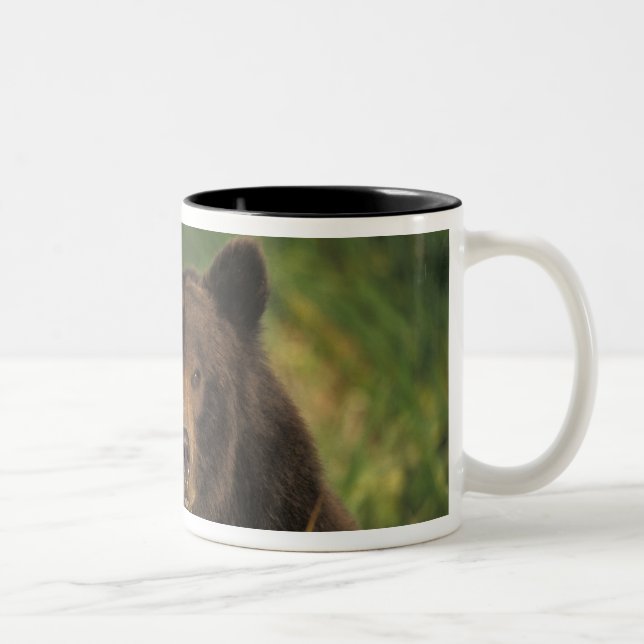 Caneca De Café Em Dois Tons urso pardo, Ursus arctos, urso cinzento, Ursus 9 (Direita)