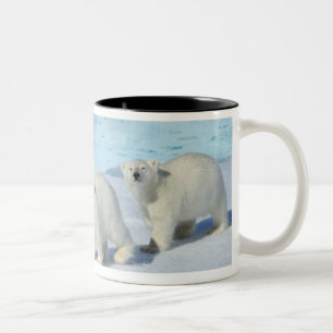 Caneca De Café Em Dois Tons Urso polar, dois copos no gelo de bloco, Ursus