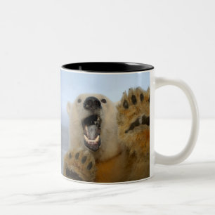 Caneca De Café Em Dois Tons urso polar, Ursus maritimus, curiosamente olha