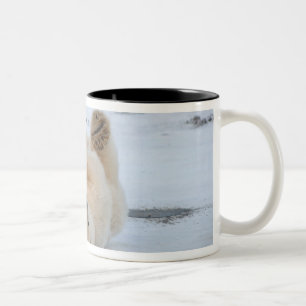 Caneca De Café Em Dois Tons urso polar, Ursus maritimus, filhote rolando 3
