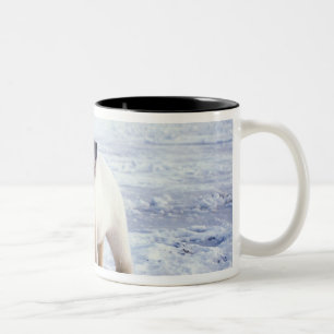 Caneca De Café Em Dois Tons Ursoaica com filhote, matilha