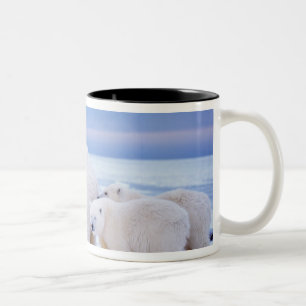 Caneca De Café Em Dois Tons Ursoaica com filhotes